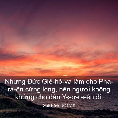 Picture 03 - Xuất Hành 10:27 VIE - Nhưng Đức Giê-hô-va làm cho Pha-ra-ôn - Bible Verse Picture