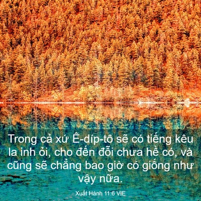 Picture 03 - Xuất Hành 11:6 VIE - Trong cả xứ Ê-díp-tô sẽ có tiếng kêu - Bible Verse Picture