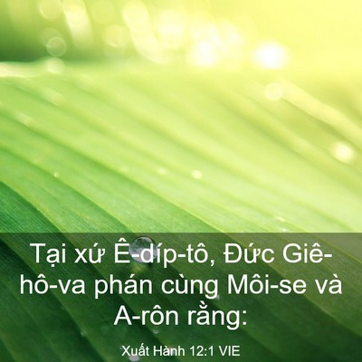 Picture 03 - Xuất Hành 12:1 VIE - Tại xứ Ê-díp-tô, Đức Giê-hô-va phán - Bible Verse Picture