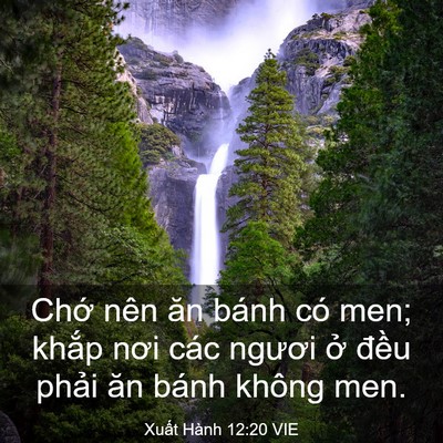 Picture 03 - Xuất Hành 12:20 VIE - Chớ nên ăn bánh có men; khắp nơi các - Bible Verse Picture