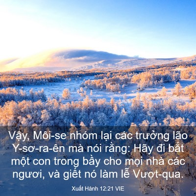 Picture 03 - Xuất Hành 12:21 VIE - Vậy, Môi-se nhóm lại các trưởng lão - Bible Verse Picture
