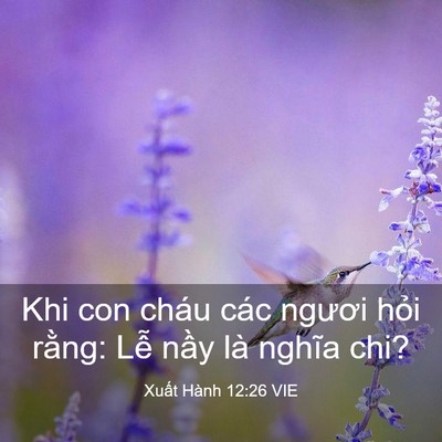 Picture 03 - Xuất Hành 12:26 VIE - Khi con cháu các ngươi hỏi rằng: Lễ - Bible Verse Picture