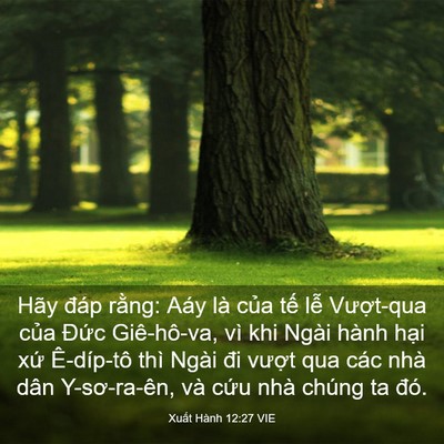 Picture 03 - Xuất Hành 12:27 VIE - Hãy đáp rằng: Aáy là của tế lễ - Bible Verse Picture