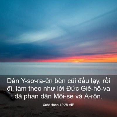 Picture 03 - Xuất Hành 12:28 VIE - Dân Y-sơ-ra-ên bèn cúi đầu lạy, rồi - Bible Verse Picture