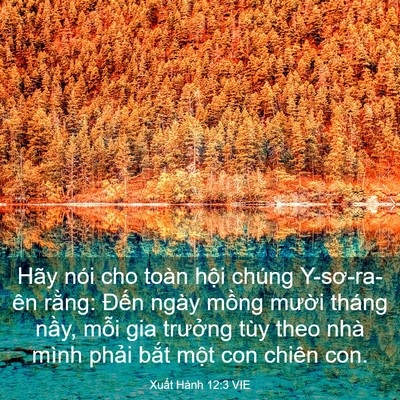 Picture 03 - Xuất Hành 12:3 VIE - Hãy nói cho toàn hội chúng Y-sơ-ra-ên - Bible Verse Picture