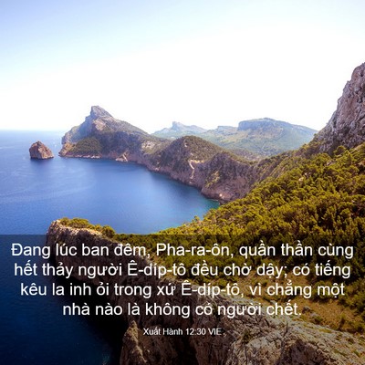 Picture 03 - Xuất Hành 12:30 VIE - Đang lúc ban đêm, Pha-ra-ôn, quần thần - Bible Verse Picture