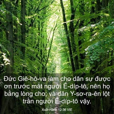 Picture 03 - Xuất Hành 12:36 VIE - Đức Giê-hô-va làm cho dân sự được - Bible Verse Picture