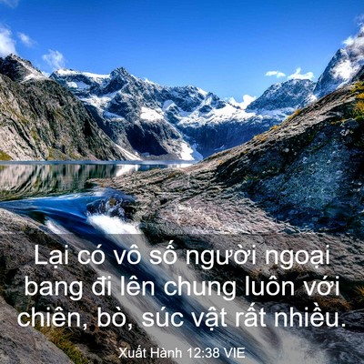 Picture 03 - Xuất Hành 12:38 VIE - Lại có vô số người ngoại bang đi lên - Bible Verse Picture