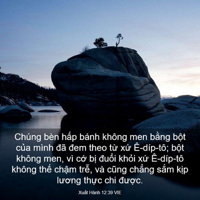Picture 03 - Xuất Hành 12:39 VIE - Chúng bèn hấp bánh không men bằng bột - Bible Verse Picture