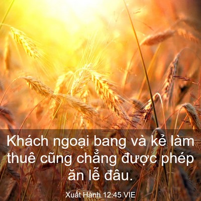 Picture 03 - Xuất Hành 12:45 VIE - Khách ngoại bang và kẻ làm thuê cũng - Bible Verse Picture