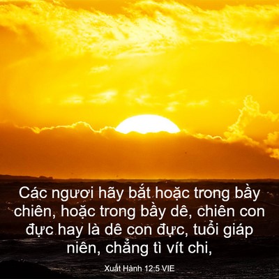 Picture 03 - Xuất Hành 12:5 VIE - Các ngươi hãy bắt hoặc trong bầy - Bible Verse Picture