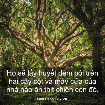 Picture 03 - Xuất Hành 12:7 VIE - Họ sẽ lấy huyết đem bôi trên hai cây - Bible Verse Picture