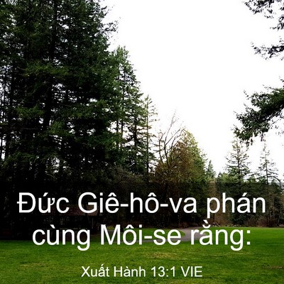 Picture 03 - Xuất Hành 13:1 VIE - Đức Giê-hô-va phán cùng Môi-se - Bible Verse Picture