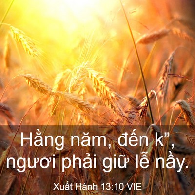 Picture 03 - Xuất Hành 13:10 VIE - Hằng năm, đến k”, ngươi phải giữ - Bible Verse Picture