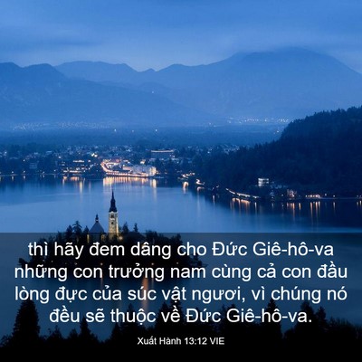 Picture 03 - Xuất Hành 13:12 VIE - thì hãy đem dâng cho Đức Giê-hô-va - Bible Verse Picture