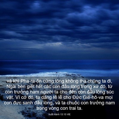 Picture 03 - Xuất Hành 13:15 VIE - và khi Pha-ra-ôn cứng lòng không tha chúng - Bible Verse Picture