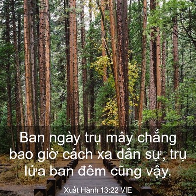 Picture 03 - Xuất Hành 13:22 VIE - Ban ngày trụ mây chẳng bao giờ cách xa - Bible Verse Picture