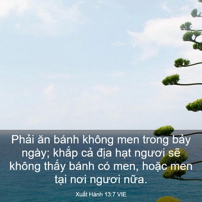 Picture 03 - Xuất Hành 13:7 VIE - Phải ăn bánh không men trong bảy ngày; - Bible Verse Picture