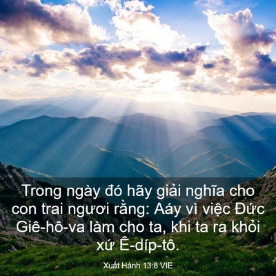 Picture 03 - Xuất Hành 13:8 VIE - Trong ngày đó hãy giải nghĩa cho con trai - Bible Verse Picture