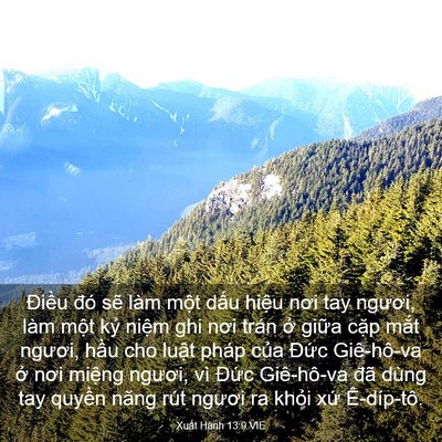 Picture 03 - Xuất Hành 13:9 VIE - Điều đó sẽ làm một dấu hiệu nơi - Bible Verse Picture