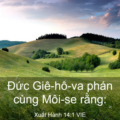 Picture 03 - Xuất Hành 14:1 VIE - Đức Giê-hô-va phán cùng Môi-se - Bible Verse Picture