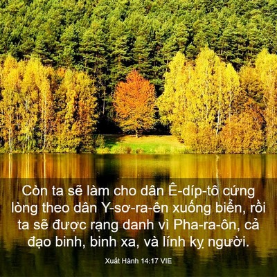 Picture 03 - Xuất Hành 14:17 VIE - Còn ta sẽ làm cho dân Ê-díp-tô cứng - Bible Verse Picture