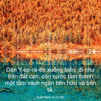 Picture 03 - Xuất Hành 14:22 VIE - Dân Y-sơ-ra-ên xuống biển, đi như trên - Bible Verse Picture