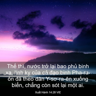 Picture 03 - Xuất Hành 14:28 VIE - Thế thì, nước trở lại bao phủ binh - Bible Verse Picture