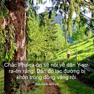 Picture 03 - Xuất Hành 14:3 VIE - Chắc Pha-ra-ôn sẽ nói về dân - Bible Verse Picture