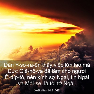 Picture 03 - Xuất Hành 14:31 VIE - Dân Y-sơ-ra-ên thấy việc lớn lao mà - Bible Verse Picture