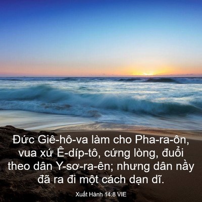 Picture 03 - Xuất Hành 14:8 VIE - Đức Giê-hô-va làm cho Pha-ra-ôn, vua xứ - Bible Verse Picture