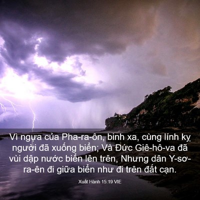 Picture 03 - Xuất Hành 15:19 VIE - Vì ngựa của Pha-ra-ôn, binh xa, cùng lính - Bible Verse Picture