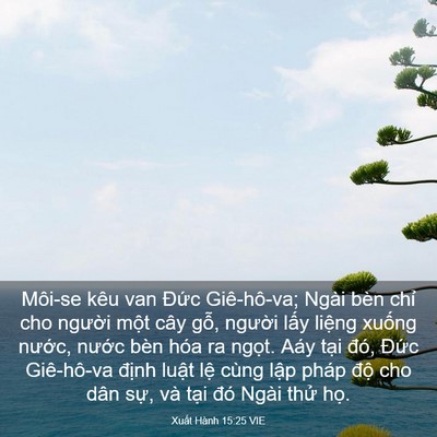 Picture 03 - Xuất Hành 15:25 VIE - Môi-se kêu van Đức Giê-hô-va; Ngài bèn - Bible Verse Picture