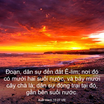 Picture 03 - Xuất Hành 15:27 VIE - Đoạn, dân sự đến đất Ê-lim; nơi - Bible Verse Picture