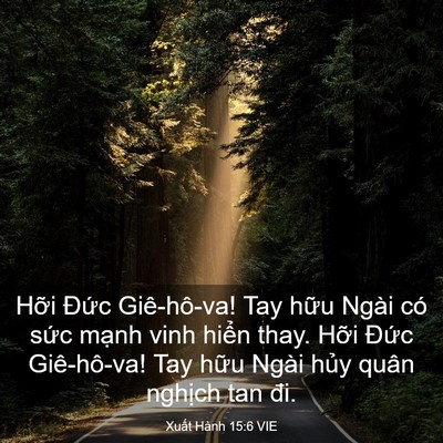Picture 03 - Xuất Hành 15:6 VIE - Hỡi Đức Giê-hô-va! Tay hữu Ngài có - Bible Verse Picture