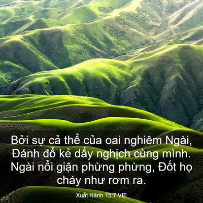 Picture 03 - Xuất Hành 15:7 VIE - Bởi sự cả thể của oai nghiêm Ngài, - Bible Verse Picture