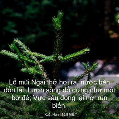 Picture 03 - Xuất Hành 15:8 VIE - Lỗ mũi Ngài thở hơi ra, nước bèn dồn - Bible Verse Picture