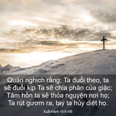 Picture 03 - Xuất Hành 15:9 VIE - Quân nghịch rằng: Ta đuổi theo, ta sẽ - Bible Verse Picture