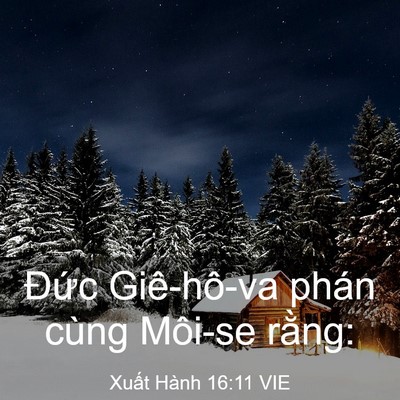 Picture 03 - Xuất Hành 16:11 VIE - Đức Giê-hô-va phán cùng Môi-se - Bible Verse Picture
