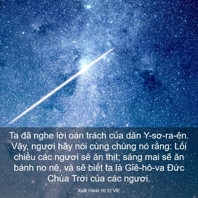 Picture 03 - Xuất Hành 16:12 VIE - Ta đã nghe lời oán trách của dân - Bible Verse Picture