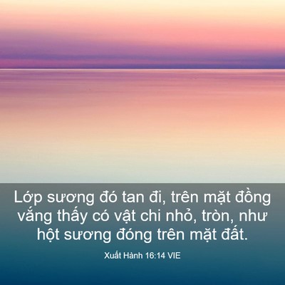 Picture 03 - Xuất Hành 16:14 VIE - Lớp sương đó tan đi, trên mặt đồng - Bible Verse Picture