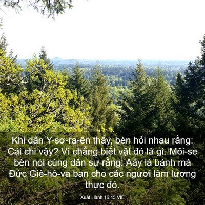 Picture 03 - Xuất Hành 16:15 VIE - Khi dân Y-sơ-ra-ên thấy, bèn hỏi nhau - Bible Verse Picture