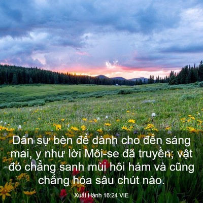 Picture 03 - Xuất Hành 16:24 VIE - Dân sự bèn để dành cho đến sáng mai, - Bible Verse Picture