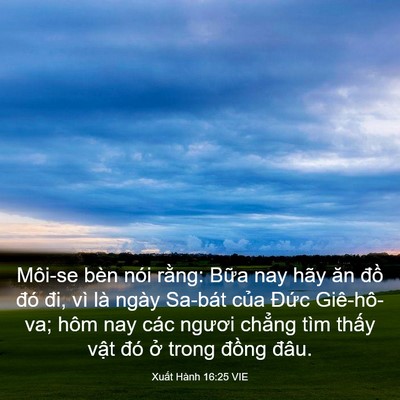 Picture 03 - Xuất Hành 16:25 VIE - Môi-se bèn nói rằng: Bữa nay hãy ăn - Bible Verse Picture