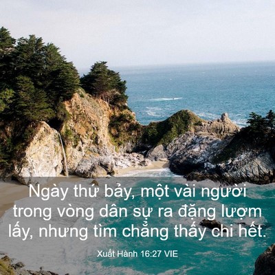 Picture 03 - Xuất Hành 16:27 VIE - Ngày thứ bảy, một vài người trong - Bible Verse Picture