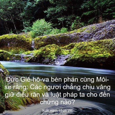 Picture 03 - Xuất Hành 16:28 VIE - Đức Giê-hô-va bèn phán cùng Môi-se - Bible Verse Picture