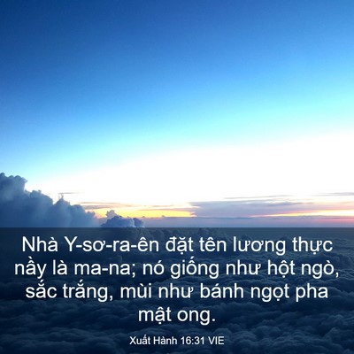 Picture 03 - Xuất Hành 16:31 VIE - Nhà Y-sơ-ra-ên đặt tên lương thực - Bible Verse Picture
