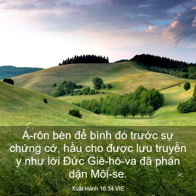 Picture 03 - Xuất Hành 16:34 VIE - A-rôn bèn để bình đó trước sự - Bible Verse Picture