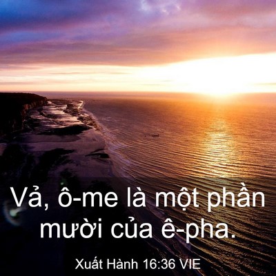 Picture 03 - Xuất Hành 16:36 VIE - Vả, ô-me là một phần mười của - Bible Verse Picture