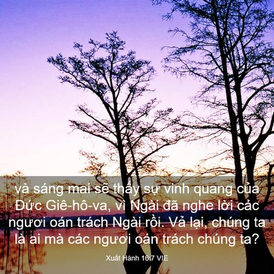 Picture 03 - Xuất Hành 16:7 VIE - và sáng mai sẽ thấy sự vinh quang của - Bible Verse Picture